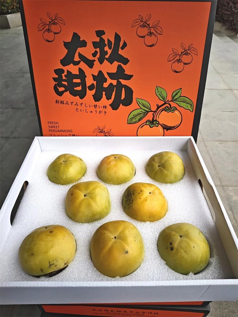 微信图片_2026-09-29_091833_904.jpg
